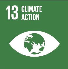 climate action icon