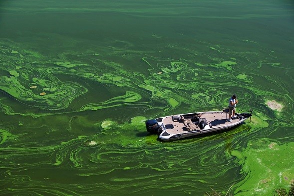 boat in algae covered water