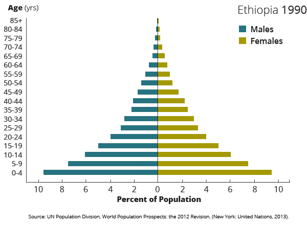 demographics ethiopia