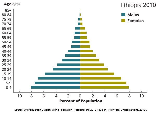 2010 demographics ethiopia