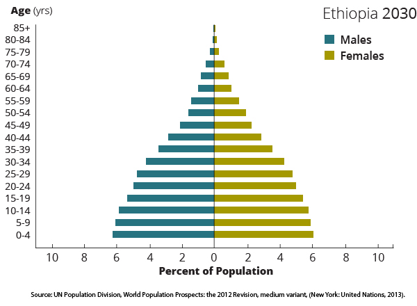 demographic transition and population pyramids