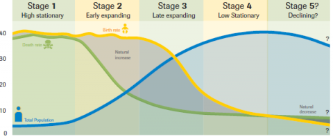 What Is Stage 1 Of The American Development Model