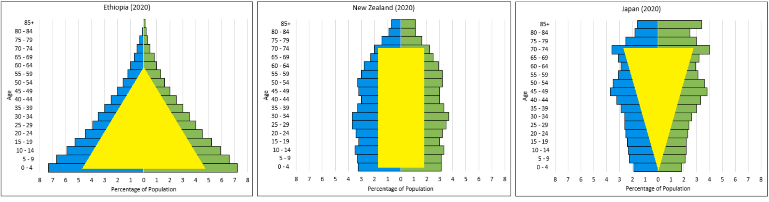 What is a Population Pyramid? - Population Education