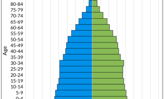 Population pyramid, age-structure-diagram, for global population in the year 2020