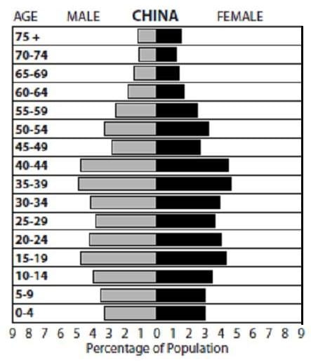 What Determines The Shape Of A Population Pyramid Population Education