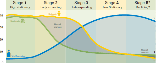 Demographic Transition Model diagram