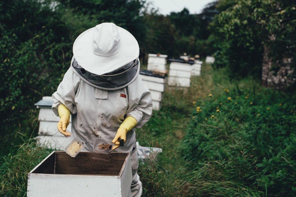 Bee farming