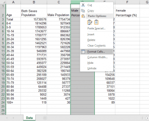 How to Build a Population Pyramid in Excel: Step-by-Step Guide ...
