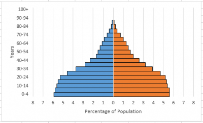 How to Build a Population Pyramid in Excel: Step-by-Step Guide 