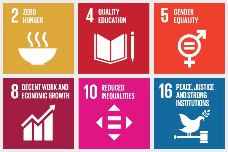 Sustainable Development Goals 2, 4, 5, 8, 10, and 16