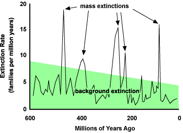 What is Background Extinction Rate and How is it Calculated?