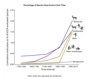 Percentage of Species Gone Extinct Over Time