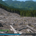 Screenshot of video lesson plan "For the Common Good" using deforestation as an example of tragedy of the commons