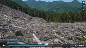Screenshot of video lesson plan "For the Common Good" using deforestation as an example of tragedy of the commons