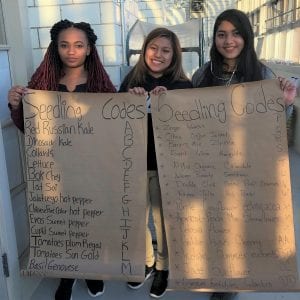 Students display list of seedling codes