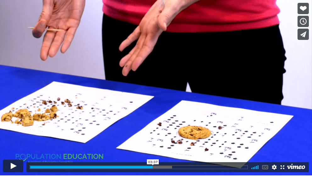 Screenshot of video lesson plan "Mining for Chocolate" showing chocolate chip cookies as an analogy to mining regions