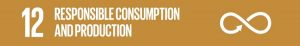 SDG 12 Responsible Consumption and Production