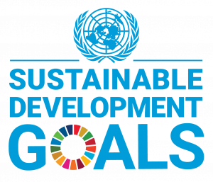 Sustainable Development Goals logo
