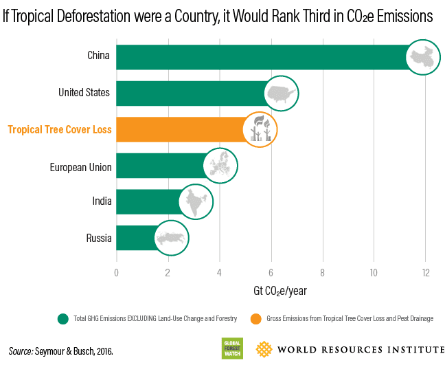 Graph showing the emissions due to tropical deforestation compared to other countries/regions