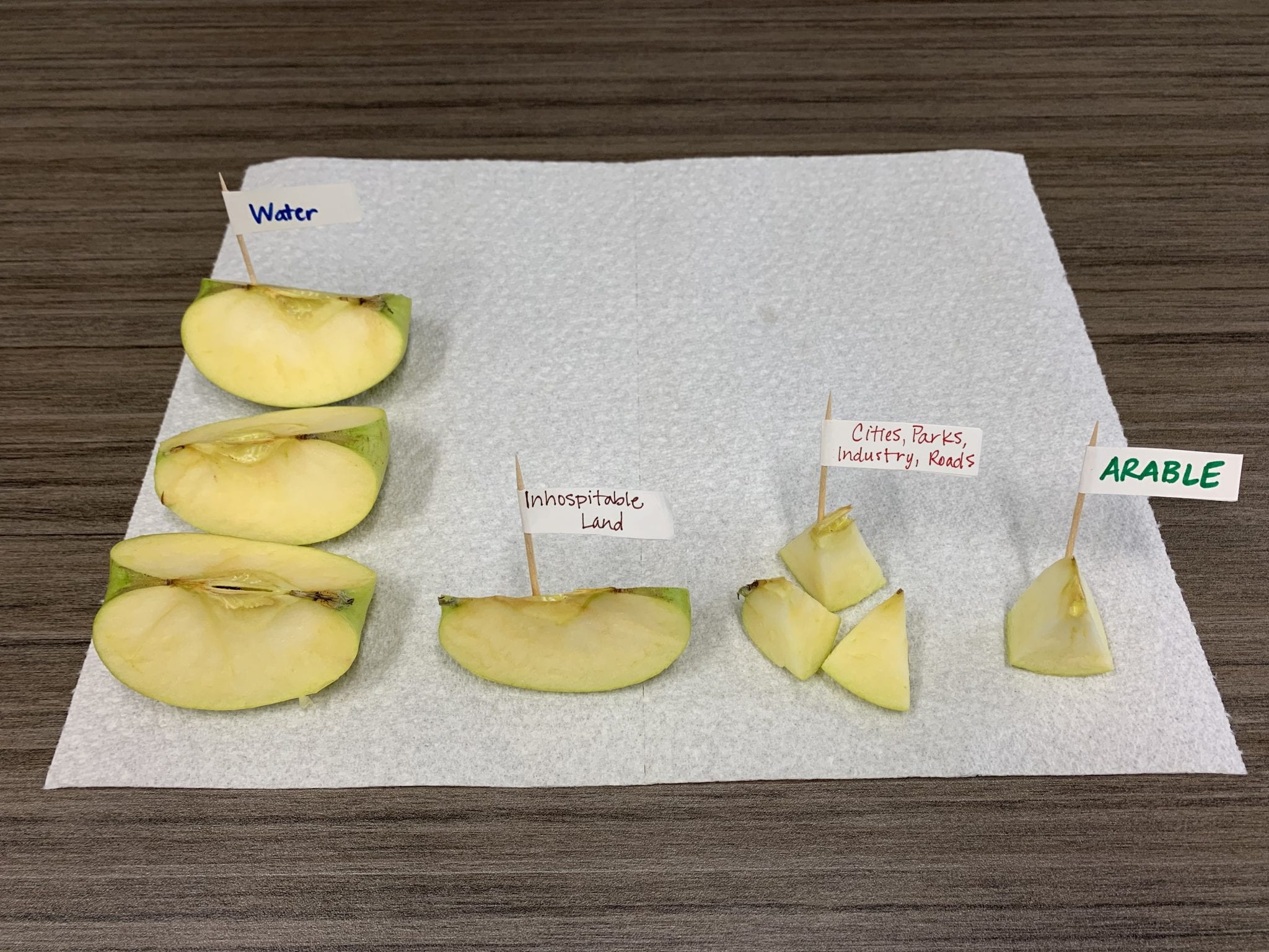 Cut apple modeling Earth's area as water, inhospitable land, cities/parks/roads/industry, and arable land