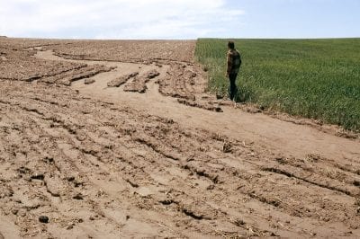 How Industrialized Meat Production Causes Land Degradation