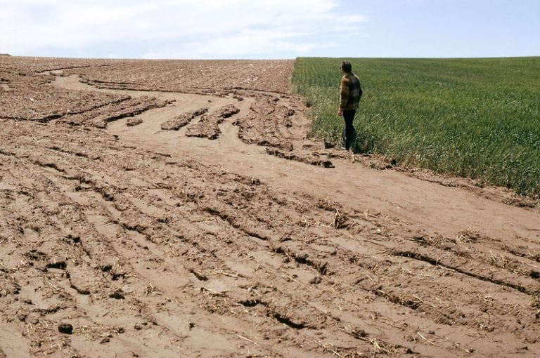 how-does-animal-grazing-cause-soil-erosion-shires-sucarty