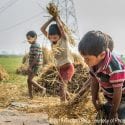 Children working on farms is still a critical component of many economies.