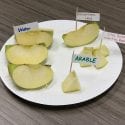 Apple slices represent different areas of the Earth: water, inhospitable land, used arable land, and arable land for farming