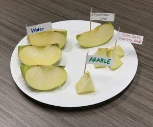 Apple slices represent different areas of the Earth: water, inhospitable land, used arable land, and arable land for farming