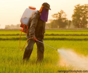 A farmer spraying pesticides in Thailand.
