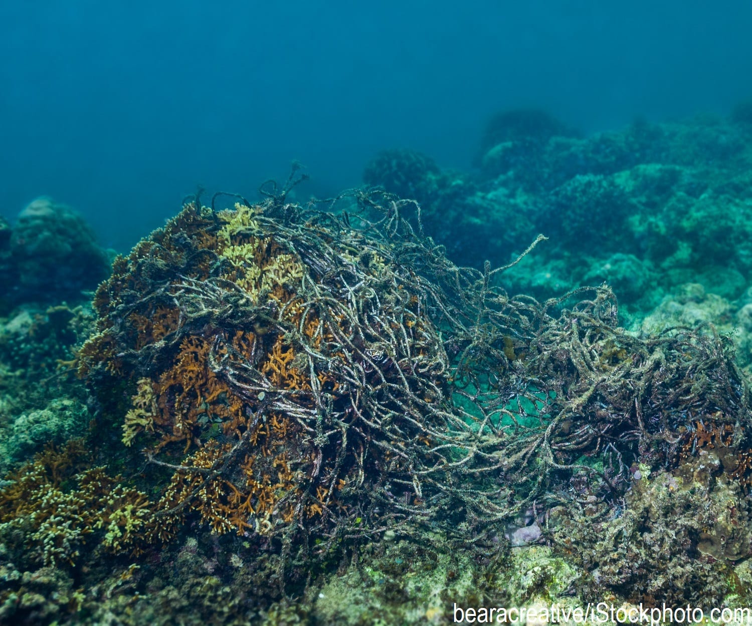 A fishing net caught on ocean reefs at the bottom of the ocean near the Danguan Island in the Philippines.