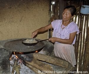 A woman in Guatemala using an indoor stove to prepare food.
