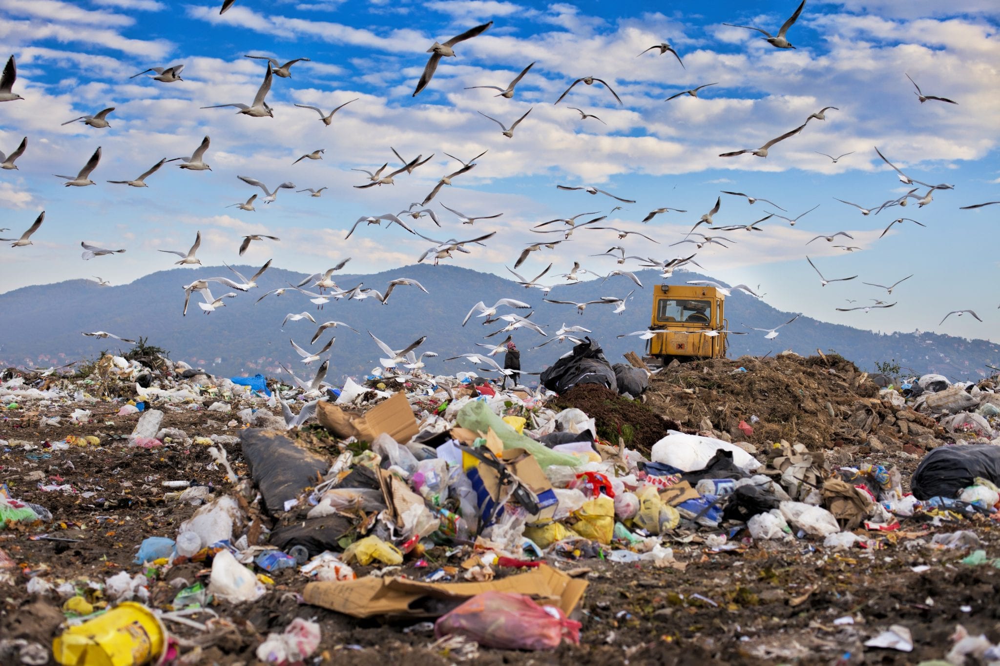 Pile of garbage in landfill with birds flying overhead