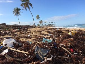 Visible Human Impact on Pristine Beach