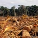 Deforestation in the Amazon rainforest.