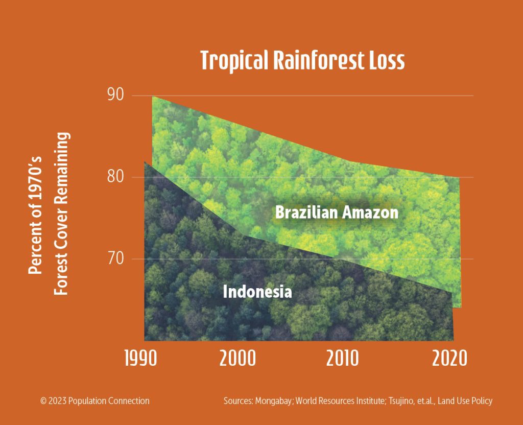 Forest loss in Indonesia and the Brazilian Amazon. Graph shows percentage of 1970s forest remaining through 2020