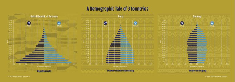 U.S. Population Pyramid infographic - Population Education