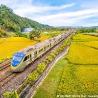There are many reasons people migrate from one place to another, and some walk, drive, take trains, planes or boats