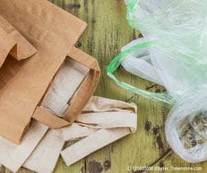 The great bag debate - paper bags versus plastic bags