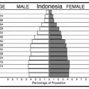 Population pyramid for Indonesia is an example of a population pyramid