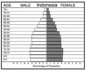 Population pyramid for Indonesia is an example of a population pyramid