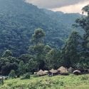 People living on edge of the forest at Bwindi Impenetrable National Park in Uganda