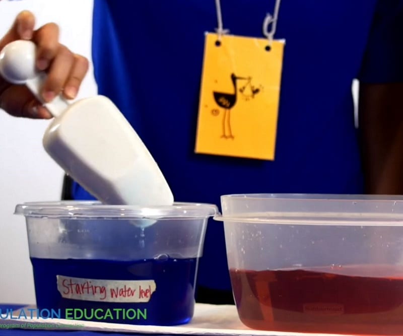 Demonstration using bowls of water and measuring cups shows population growth when the birth rate exceeds the death rate