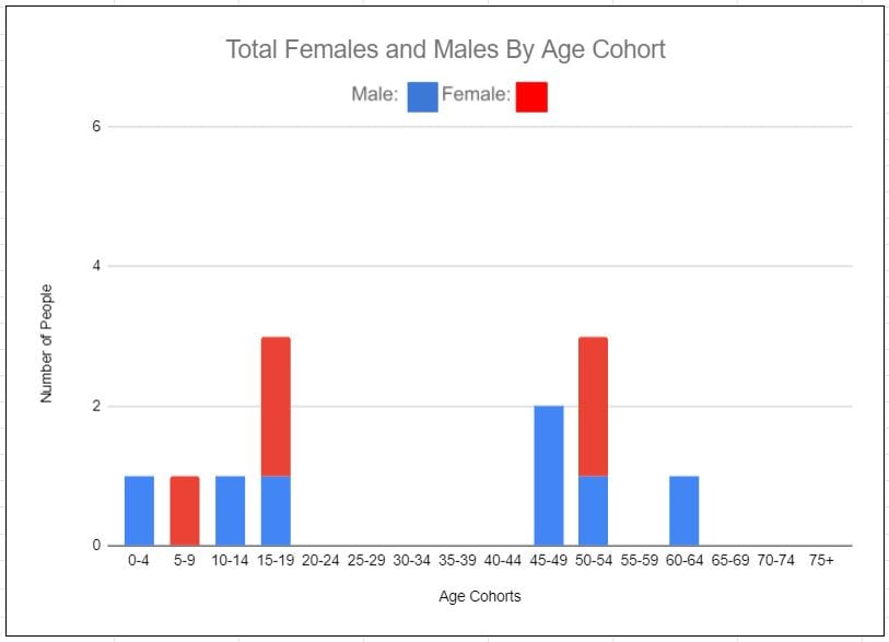 Middle school students take a census and graph data using pre-set Google Sheets calculations