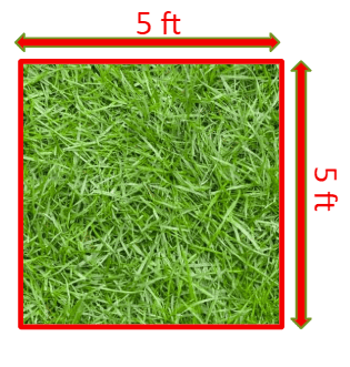 It takes 25 square feet of grass to provide oxygen for one person's daily needs