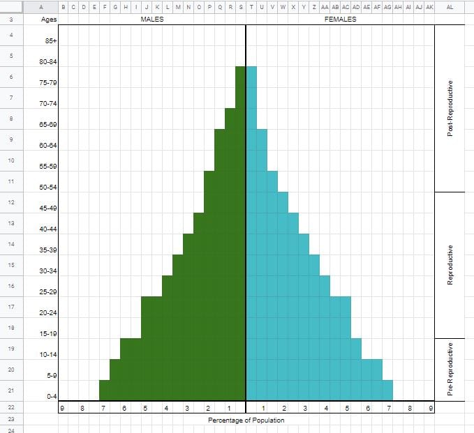 Students use the provided population pyramid template in Google Sheets