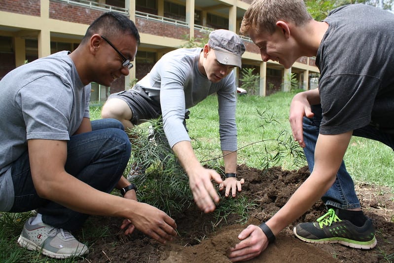 Three teens planting tree