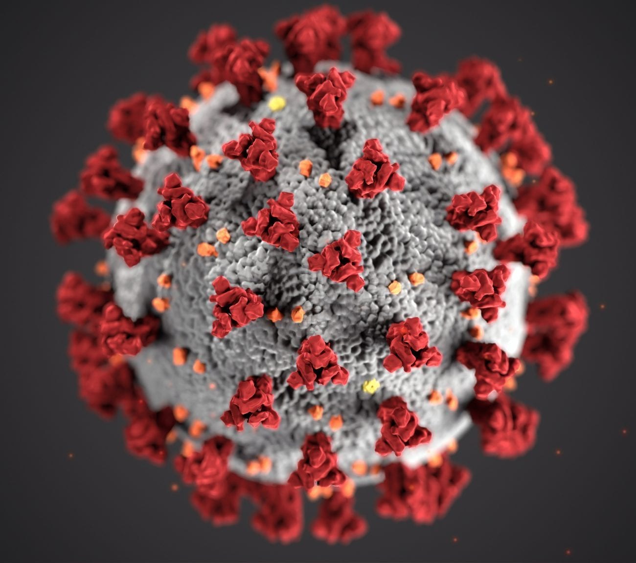Coronavirus CDC microscopic image