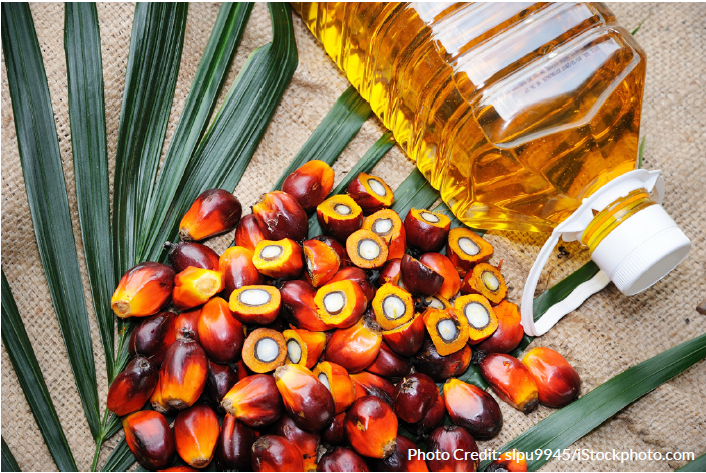 Palm fruits and a bottle of palm oil sit on top of a burlap sack