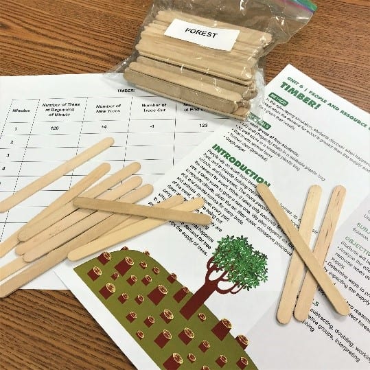 The lesson plan, Timber, sits on a desk, alongside lesson materials. The materials include several loose popsicle sticks and a plastic bag labeled "forest" that is filled with popsicle sticks.